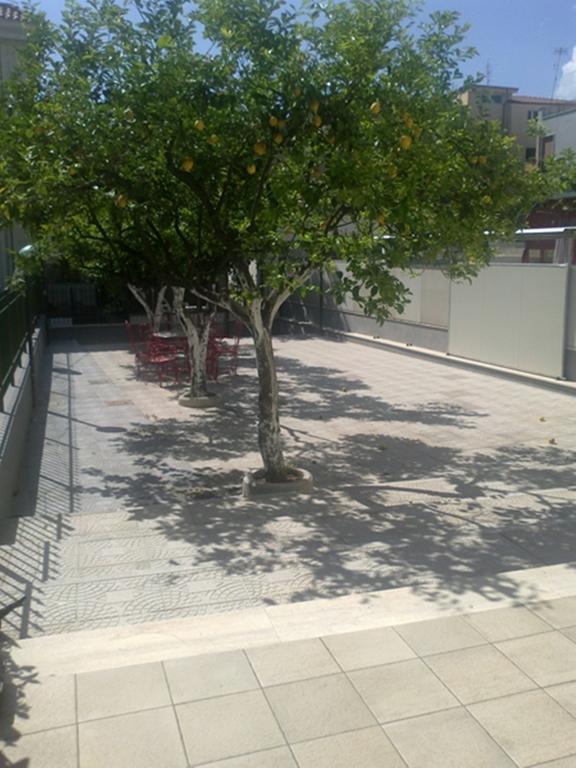Hotel Aurora Scauri  Dış mekan fotoğraf